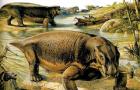 Permian period, animals of the Permian period