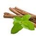 Licorice root: medicinal properties and contraindications Obstructive bronchitis in children: treatment with folk remedies, recipes