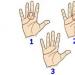 The meaning of the simian line on the palm Chirology of the monkey line on the hand