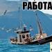 Ile zarabia marynarz w Rosji i innych krajach?
