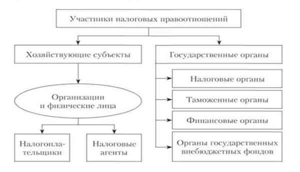 Участники налоговых. Участники налоговых отношений схема. Участники налоговых правоотношений схема. Участники налоговых правоотношений таблица. Перечислите участников налоговых правоотношений.