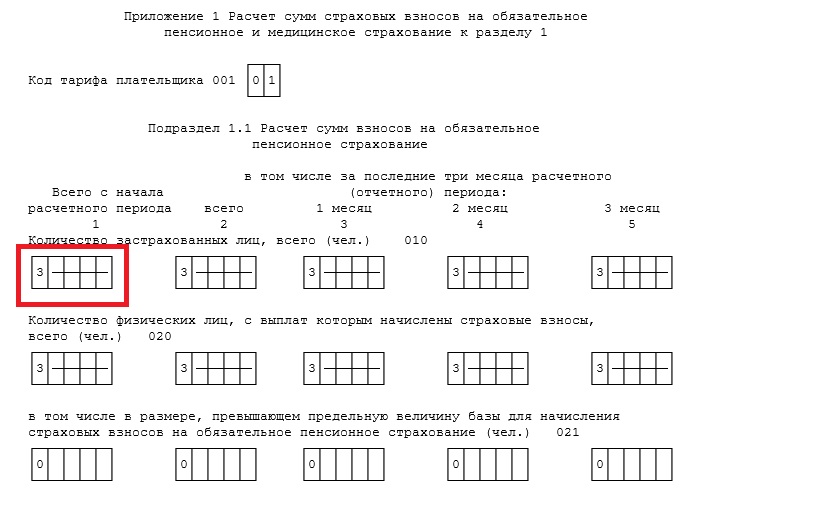 Образец справки о начисленных и фактически уплаченных страховых взносах на обязательное пенсионное страхование